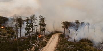Ley 1457: prohibido hacer fuego en todo el territorio de Tierra del Fuego