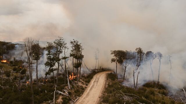 Ley 1457: prohibido hacer fuego en todo el territorio de Tierra del Fuego