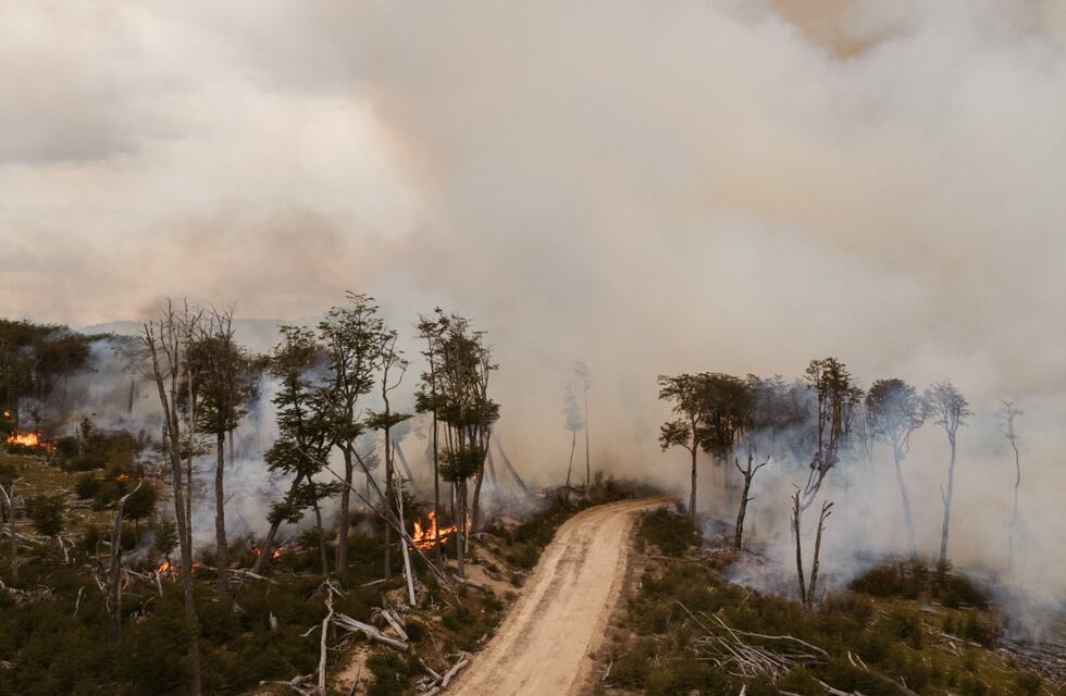 “Es necesario entender que el riesgo de hacer fuego hoy en Tierra del Fuego es enorme”
