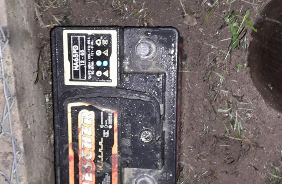 Las cámaras detectaron a un ladrón con un batería y fue detenido