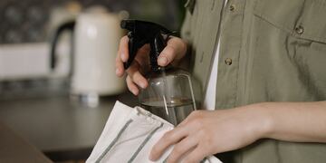 Un aliado natural para la limpieza del hogar. Foto: Pexels