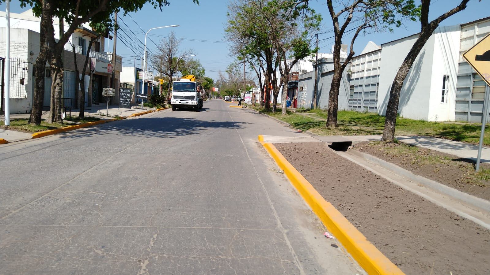 Las polémicas obras en Avenida Italia