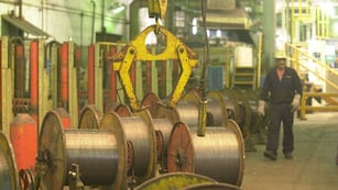 Acindar paralizó sus plantas en Argentina