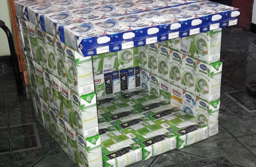 Eldorado: recolectan cajas de leche para fabricar casitas para animales abandonados