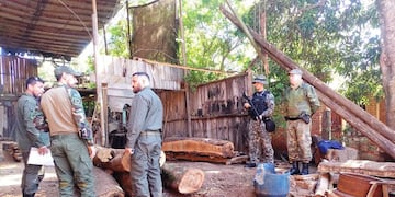 Frenan apeo ilegal en Colonia Delicia: al menos 4 especies nativas estaban siendo taladas.