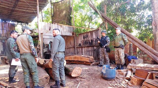 Frenan apeo ilegal en Colonia Delicia: al menos 4 especies nativas estaban siendo taladas.