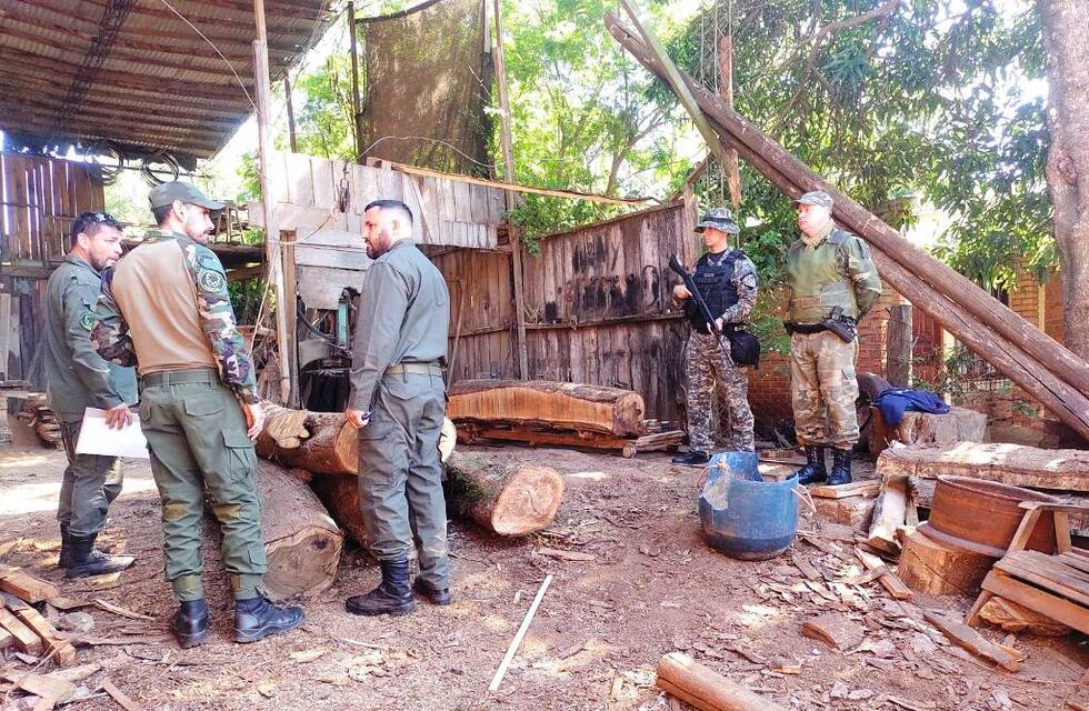 Frenan apeo ilegal en Colonia Delicia: al menos 4 especies nativas estaban siendo taladas