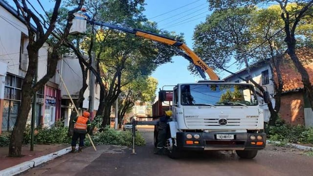 La EPE realizará trabajos de poda en Pérez