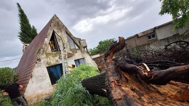 Son más de 500 las familias afectadas por la tormenta en Entre Ríos.