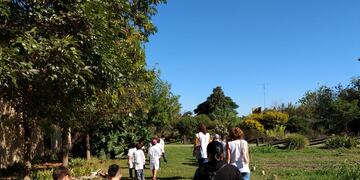 El arboretum es un lugar muy interesante para los niños