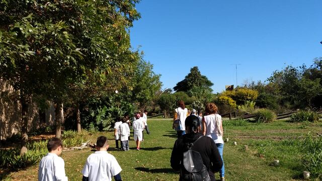 El arboretum es un lugar muy interesante para los niños