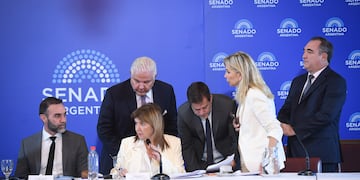 Patricia Bullrich encabezó una nueva jornada de debate de la reforma laboral en el Senado (Foto: Comunicación Senado)