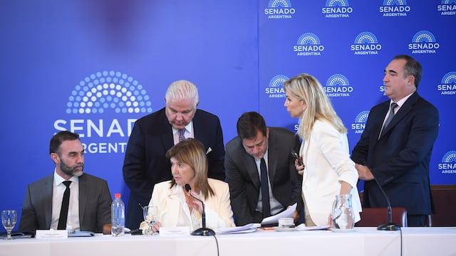 Patricia Bullrich encabezó una nueva jornada de debate de la reforma laboral en el Senado (Foto: Comunicación Senado)