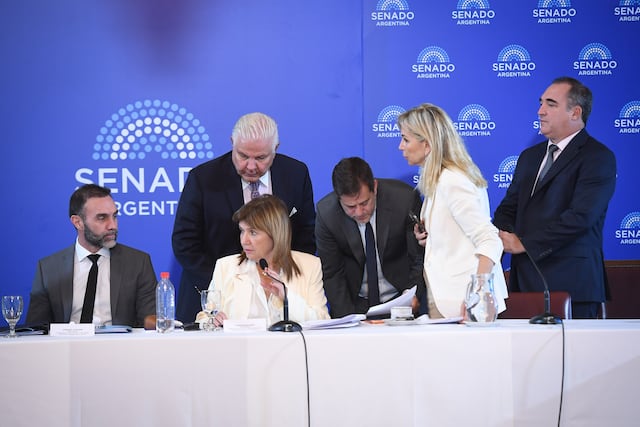 Patricia Bullrich encabezó una nueva jornada de debate de la reforma laboral en el Senado (Foto: Comunicación Senado)