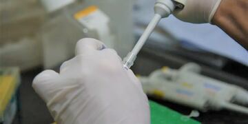 Los análisis de laboratorio dieron resultado positivo para dengue en un paciente de El Ceibal.