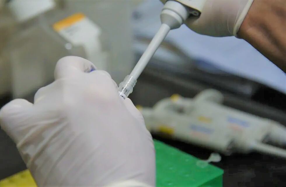 Dengue en Jujuy: detectan en El Ceibal el primer caso importado del año