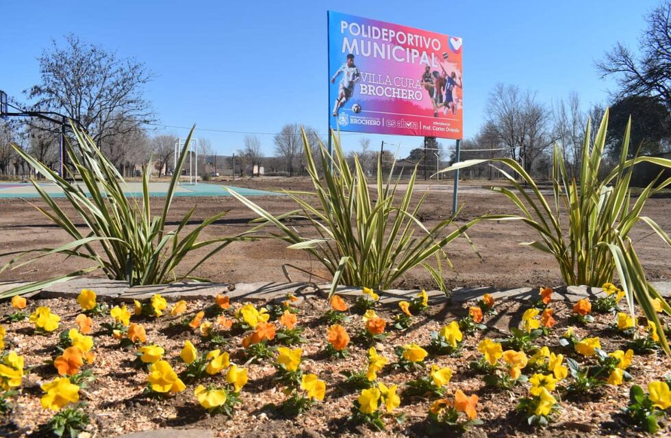 Retoman sus actividades las escuelas deportivas
