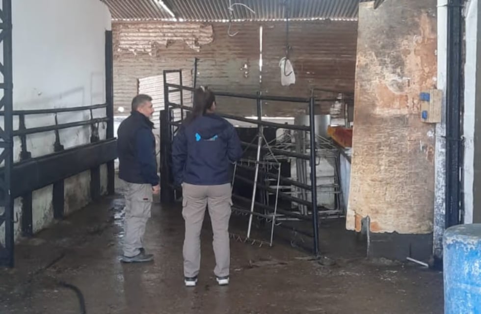 Clausuraron un frigorífico clandestino en Córdoba y secuestraron 100 kilos de carne