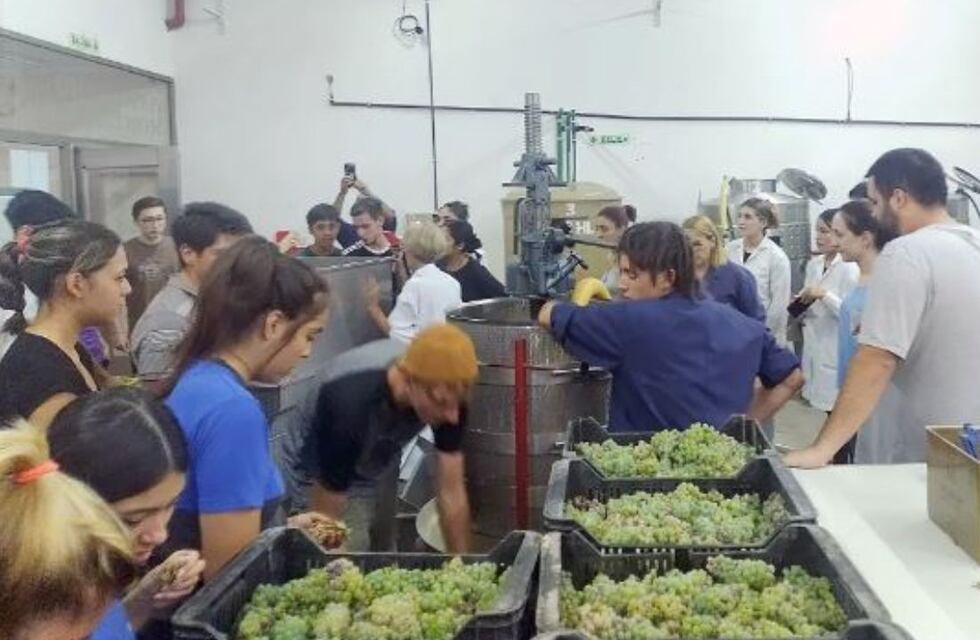Una escuela de San Rafael festeja su Vendimia 2023: alumnos cosechan y elaboran sus propios vinos para la venta