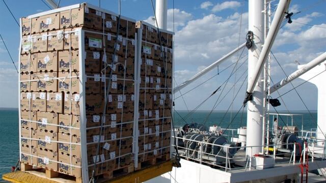 Transporte de frutas maritimo