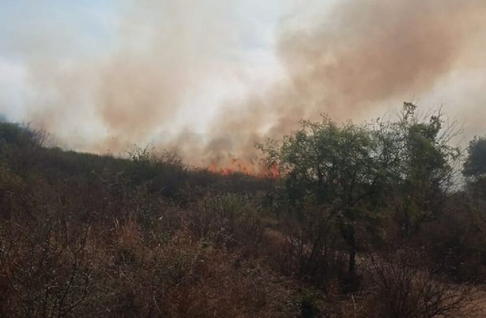 Incendio forestal en Córdoba: personal de Bomberos logró contener el fuego