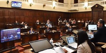 Sanción de ley en la Cámara de Diputados de Mendoza