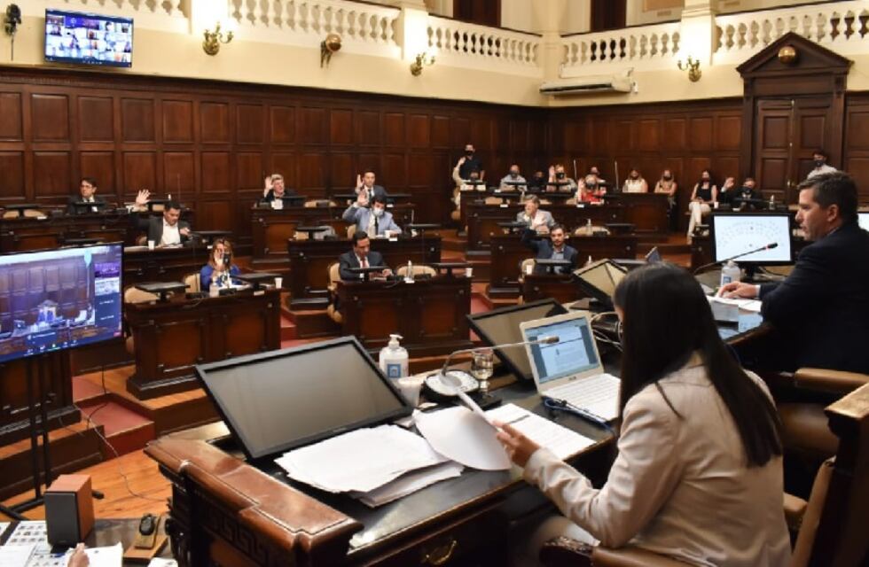 Mendoza aprobará la denominada Ley Oncopediátrica