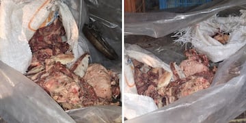 Detuvieron a tres hombres en el Este mendocino por contrabando de carne