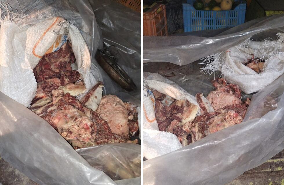 Detuvieron a tres hombres en el Este mendocino por contrabando de carne