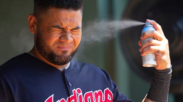 Elegir correctamente el orden asegura protección ante el sol y las picaduras. (AP Foto/Sam Hodde, Archivo)