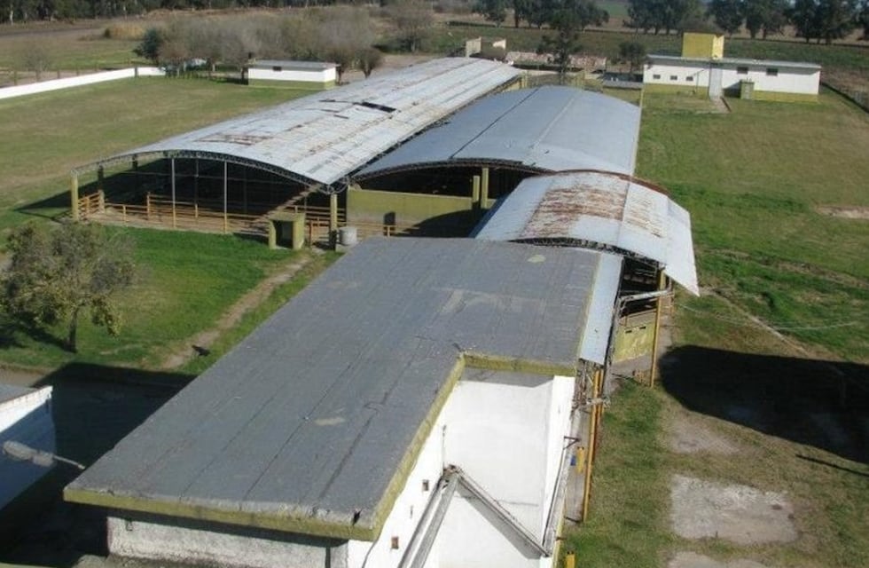 Consorcio chino compraría el frigorífico de Huinca Renancó