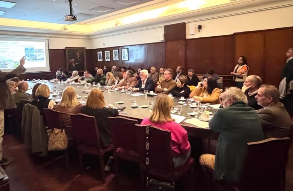 Miradas técnicas y compromiso ambiental en torno a la Ciudad Universitaria