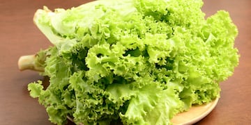 Cómo conservar bien la lechuga.