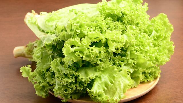 Cómo conservar bien la lechuga.