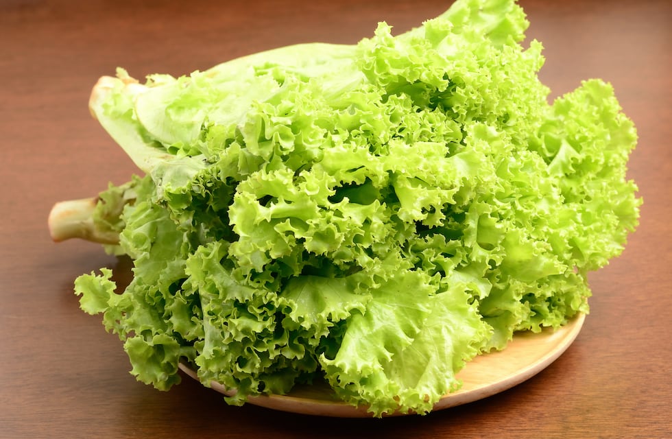 Ni bolsa ni film: el truco definitivo para guardar la lechuga y que no se marchite