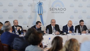 Primer plenario de comisiones en el Senado por la "ley bases" (Foto: Federico López Claro)