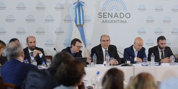 Primer plenario de comisiones en el Senado por la "ley bases" (Foto: Federico López Claro)