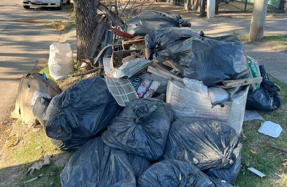 Recolección especial: piden que solo se saquen residuos verdes