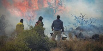 Ocho mil hectáreas consumidas por el fuego en Valle Fértil, San Juan. Y podría aumentar.