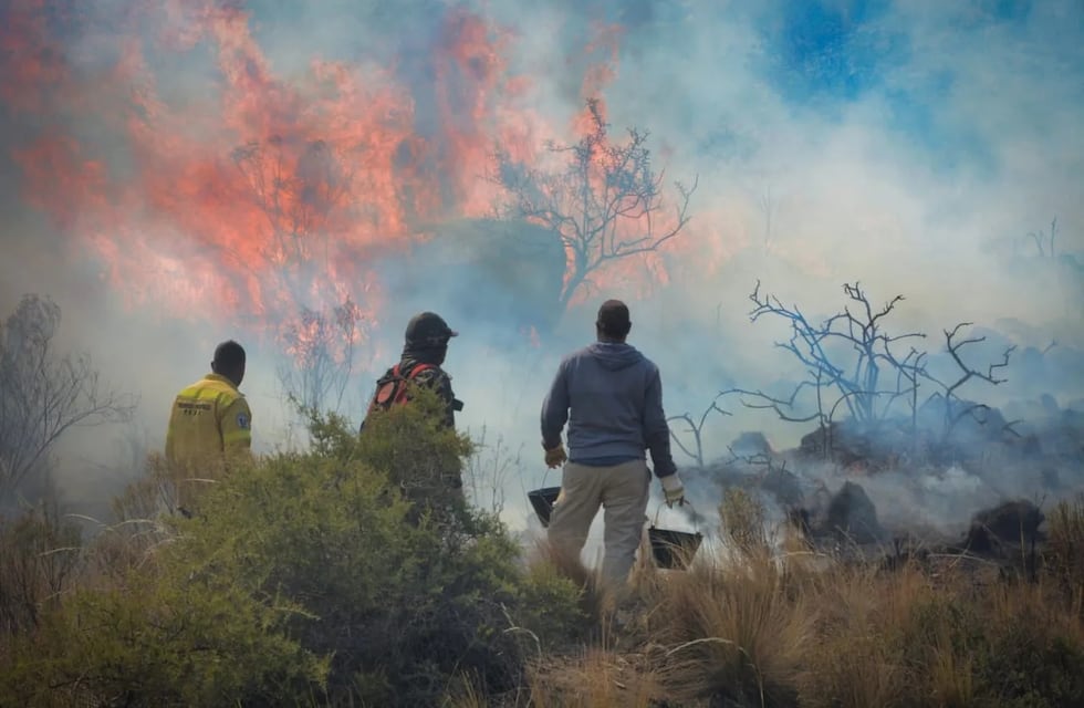 Preocupación en San Juan: un nuevo incendio envolvió en llamas unas 8 mil hectáreas de Valle Fértil