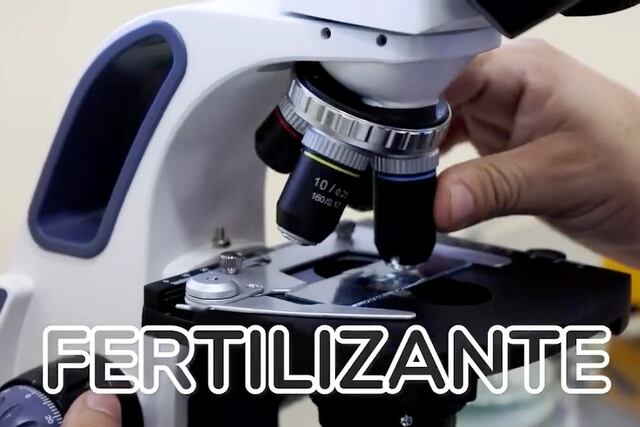 Desarrollan un bioinsumo antifúngico y fertilizante libre de químicos para impulsar la agricultura sostenible en Misiones