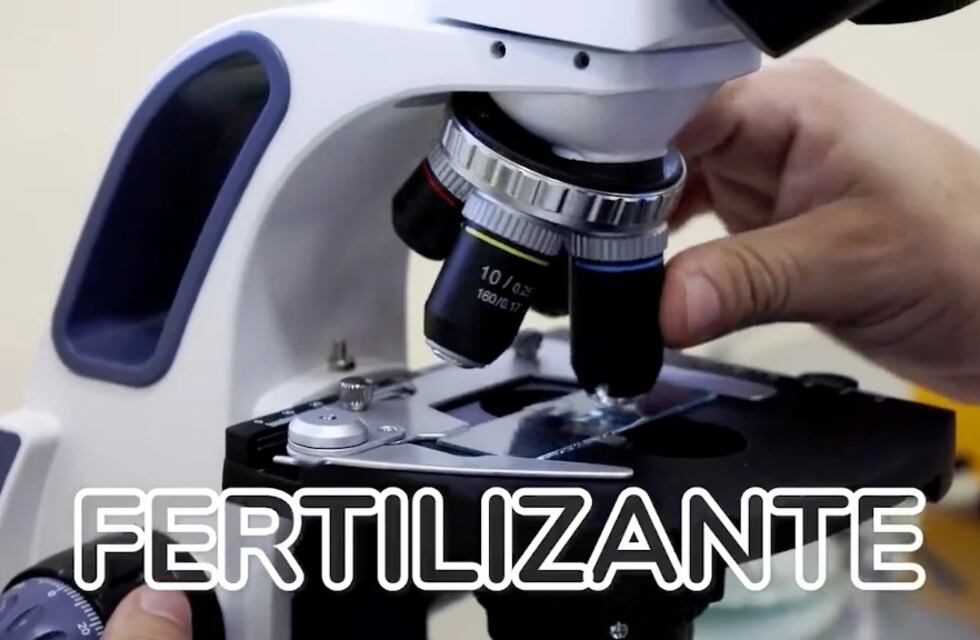Crean un fertilizante y fungicida natural para impulsar cosechas saludables en Misiones