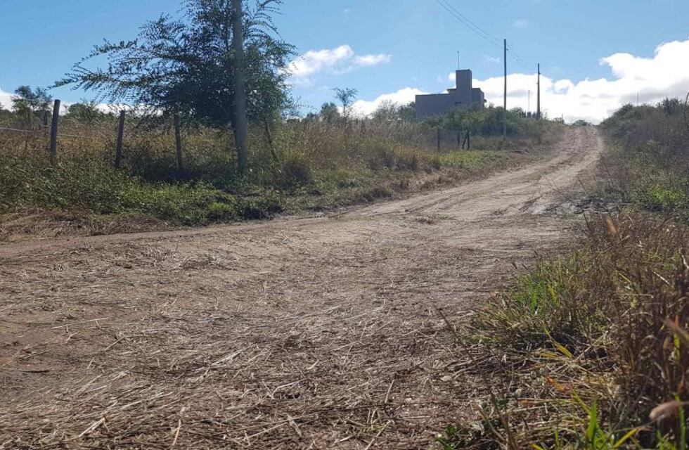 “Mirá los perritos que hay en Bialet Massé”: el desopilante video viral que grabó un cordobés al salir de su casa