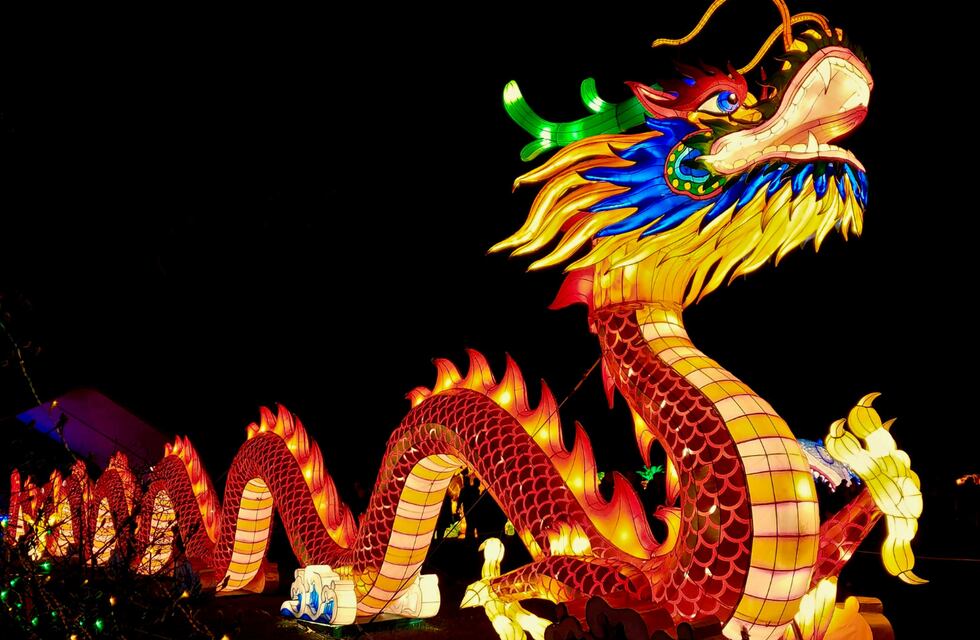 Con entrada gratis, gastronomía y predicciones: la fiesta para celebrar el Año Nuevo Chino 2025 en Córdoba