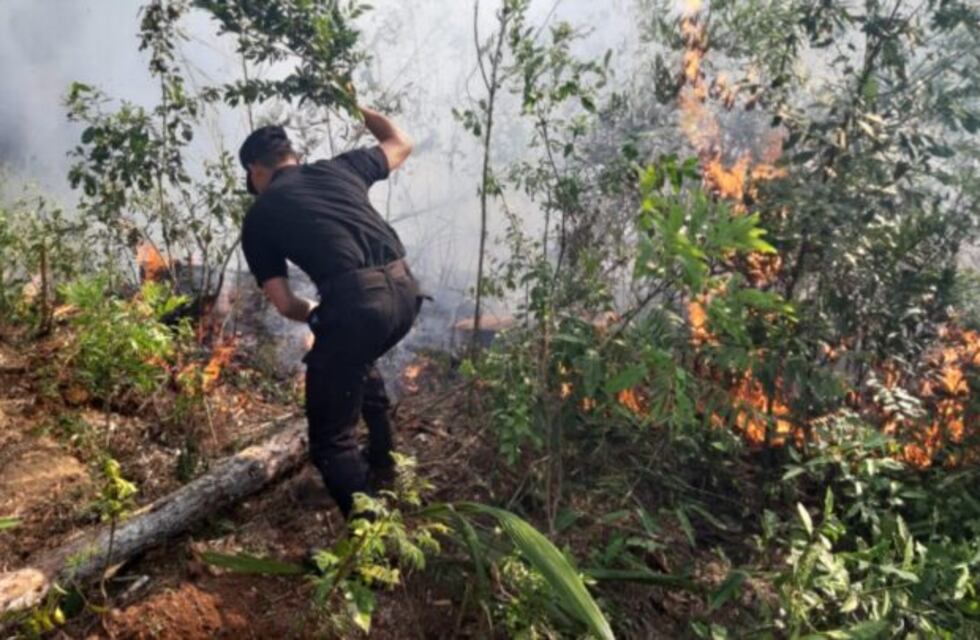 Incendios en Oberá y Los Helechos debieron ser sofocados por Bomberos y Policías
