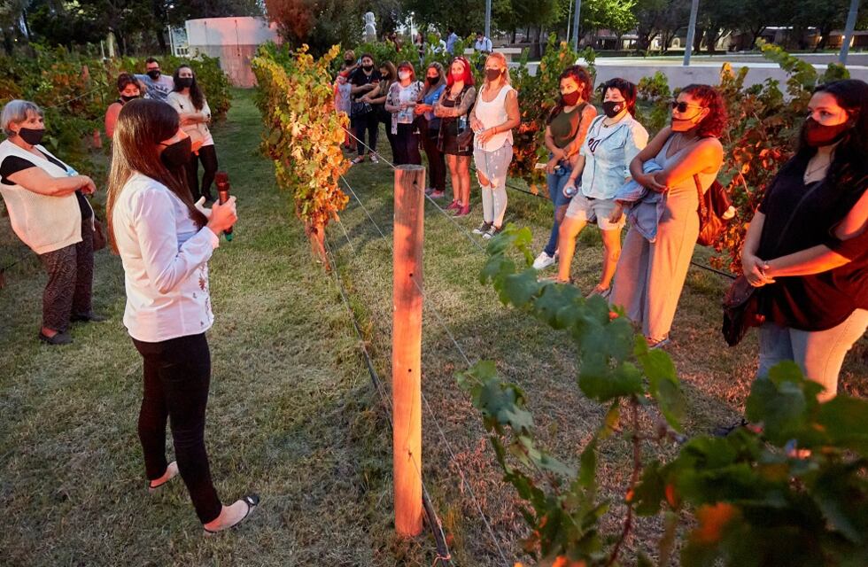 San Martín y su historia vitivinícola, en una visita única al El Plumerillo