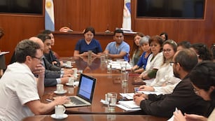 Numerosos temas enriquecen el análisis y atraviesan el debate que avanza en la Legislatura sobre la actualización de la ley de residencias médicas, con participación de funcionarios y profesionales.