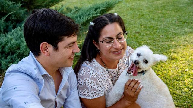 Sam, el gran caniche blanco.