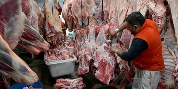 Matías Kulfas, adelantó que también se anunciará un plan ganadero este martes.