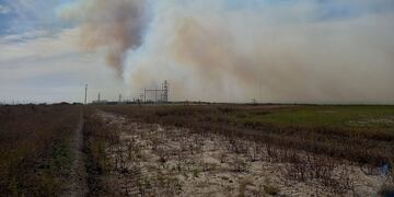 Imagen ilustrativa. Bomberos controló un incendio forestal en la zona de Ruta 33 y calle Pueyrredón.